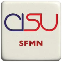 Libri di SFMN