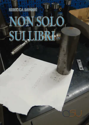 copertina Sansoe Non solo sui libri
