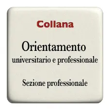 Sezione professionale