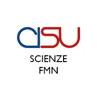 SFMN