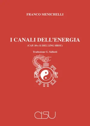 copertina Franco Menichelli I canali dell'energia